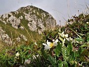 Monte Alben (2019 m) dalla Val Gerona ad anello-29ag22-FOTOGALLERY